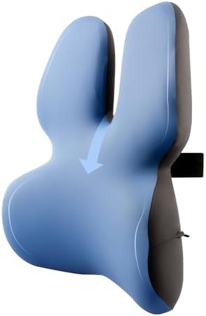 HEYPORK 4D Ergonomic Lumbar Support Pillow
