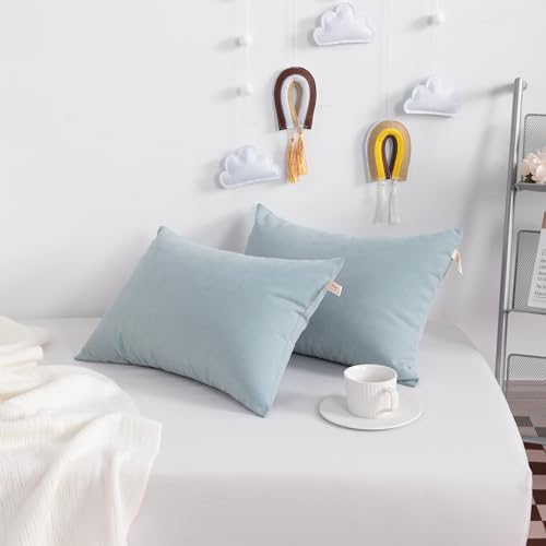 NTBAY Tiny Pillows 7x11 Travel Pet Pillow Soft Machine Washable