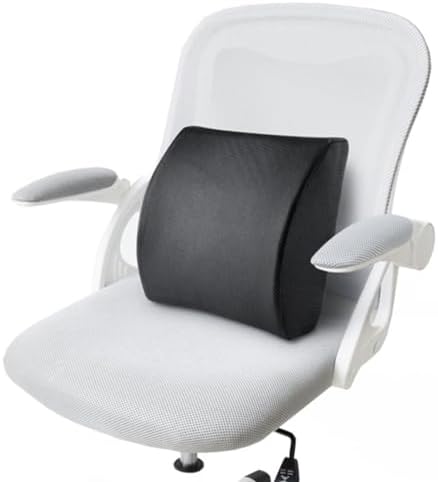 Homoyoyo Lumbar Support Pillow for Car and Office