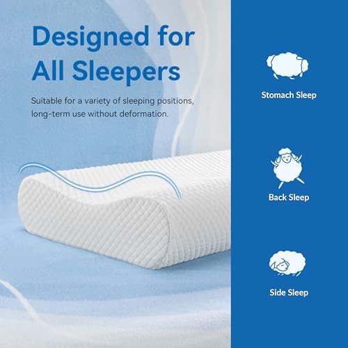 AM AEROMAX Queen Size Contour Memory Foam Pillow