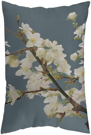 VFMNT Pillowcase with Zipper 12x20 Inch Decorative