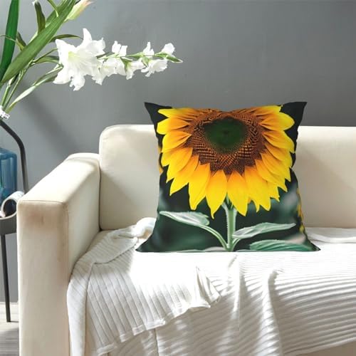 Ogniwo Fresh Sunflower Throw Pillow 12x12 Inch Soft Square Cushion Case