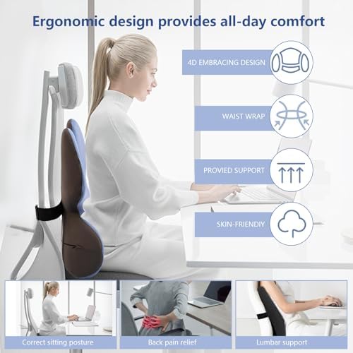 HEYPORK 4D Ergonomic Lumbar Support Pillow