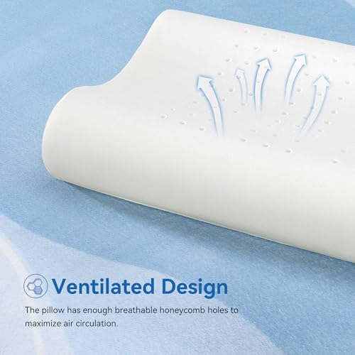 AM AEROMAX Queen Size Contour Memory Foam Pillow