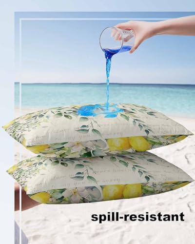 Shijh Tec Waterproof Pillow Protectors 2 Pack