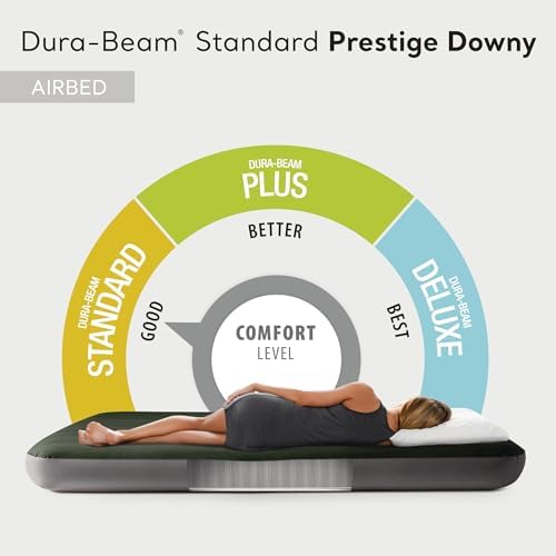 Intex Dura-Beam Air Mattress Queen Size