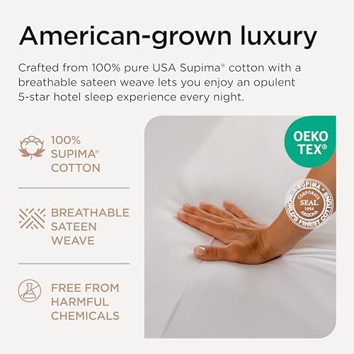 Threadmill Luxury Pillow Cases Set of 2 1000 Thread Count