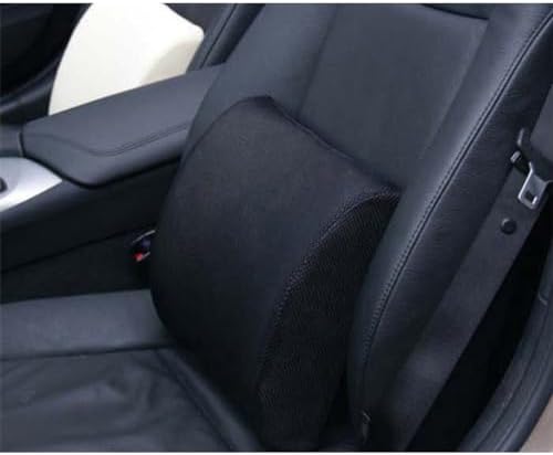 Homoyoyo Lumbar Support Pillow for Car and Office