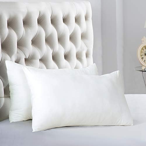 Evolive Ultra Soft Microfiber Pillowcases Set of 2