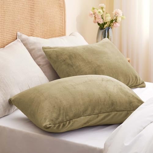 BEDELITE Flannel Pillowcases Set of 2 Soft Fleece with Zipper
