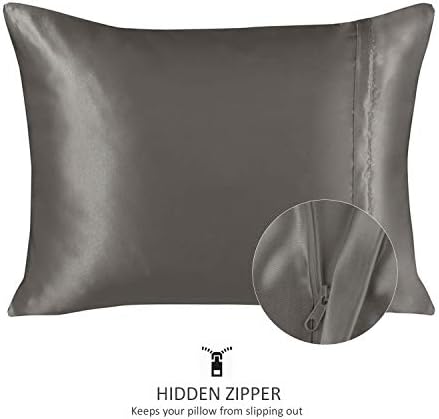 BLISSFORD Satin Pillowcase 2 Pack with Zipper