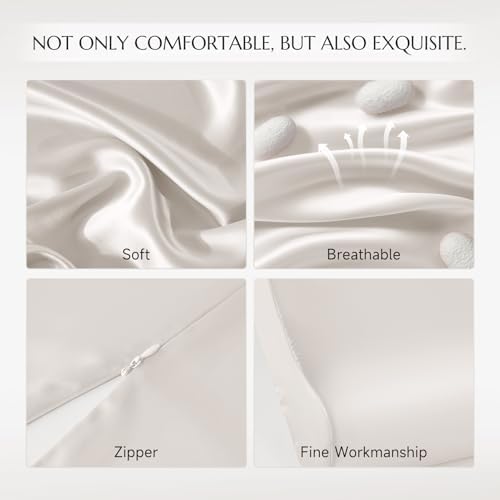THXSILK 19 Momme 100 Mulberry Silk Pillowcase