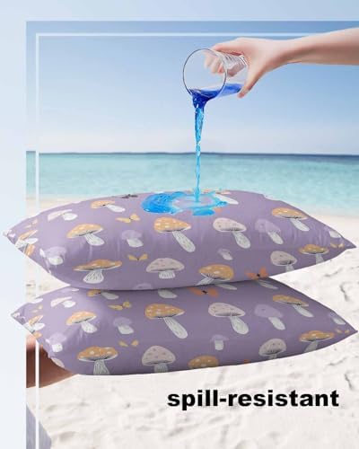Waterproof Pillow Protector 2 Pack with Zipper