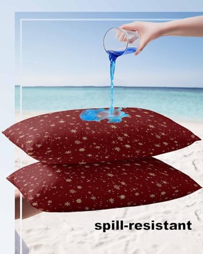 Waterproof Pillow Protectors 2 Pack with Zipper Design