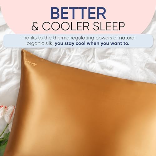 Blissy Silk Pillowcase - 22 Momme 6A Grade Gold Regular Queen King