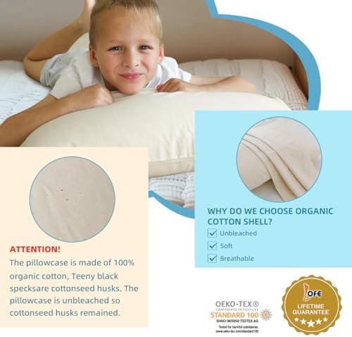 LOFE Adjustable Memory Foam Pillow with Organic Cover