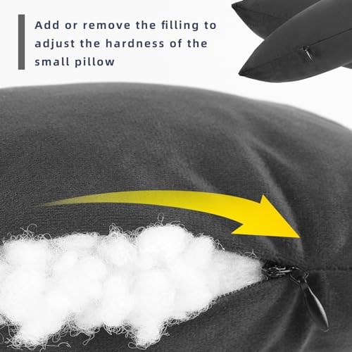 Wuronsa Tiny Pillow - 117 Mini Pillow for Travel and Support