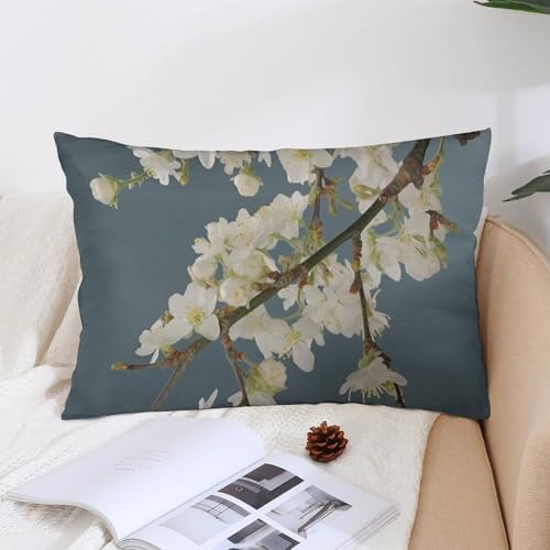 VFMNT Pillowcase with Zipper 12x20 Inch Decorative