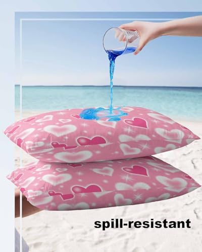 Waterproof Pillow Protector 2 Pack with Zipper and Valentines Day Star Design