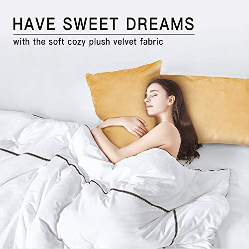 StangH Velvet Pillowcases Set of 2 Warm Gold 20x30 Inch Zippered Covers