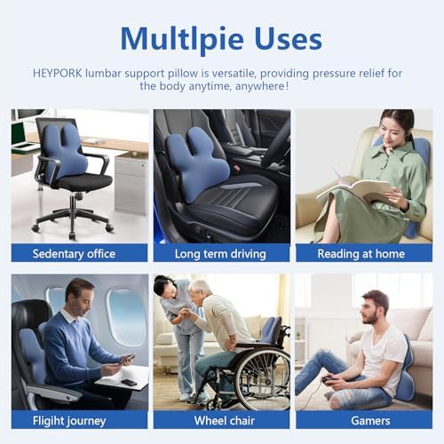 HEYPORK 4D Ergonomic Lumbar Support Pillow