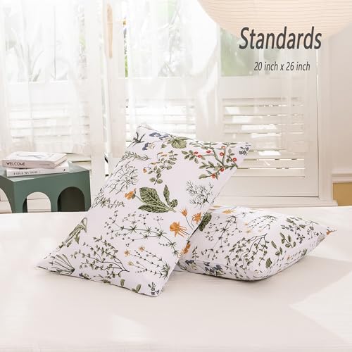 ECOCOTT 100 Cotton Pillowcases 2 Pack Floral Print Standard Size