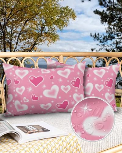 Waterproof Pillow Protector 2 Pack with Zipper and Valentines Day Star Design