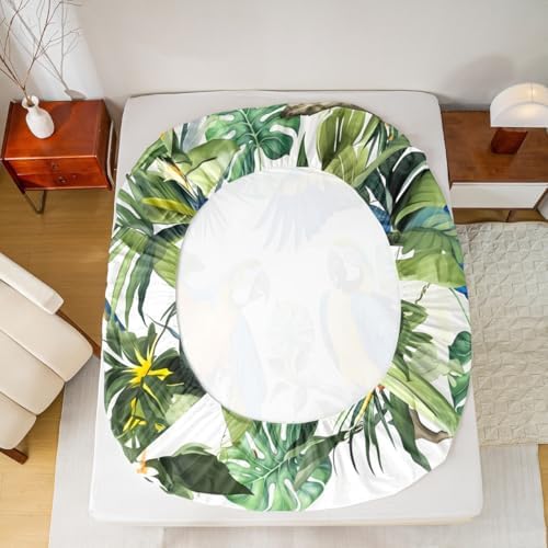 Manfei Wildlife Animals Fitted Sheet Set Queen Size