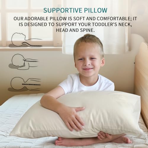 LOFE Adjustable Memory Foam Pillow with Organic Cover