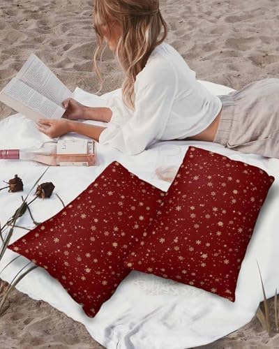 Waterproof Pillow Protectors 2 Pack with Zipper Design