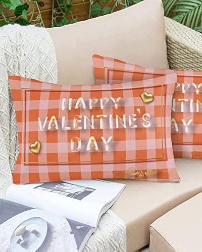 Waterproof Pillow Protector 2 Pack Happy Valentines Day