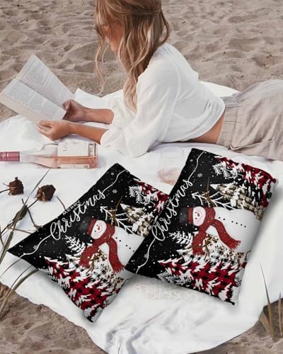 Waterproof Pillow Protector 2 Pack with Zipper 1
