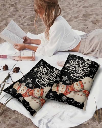 Waterproof Pillow Protector 2 Pack with Zipper Snowman Designs