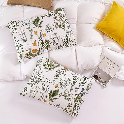 ECOCOTT 100 Cotton Pillowcases 2 Pack Floral Print Standard Size