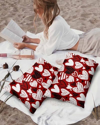 Shijh Tec Waterproof Pillow Protector 2 Pack Hearts