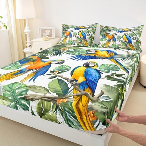 Manfei Wildlife Animals Fitted Sheet Set Queen Size