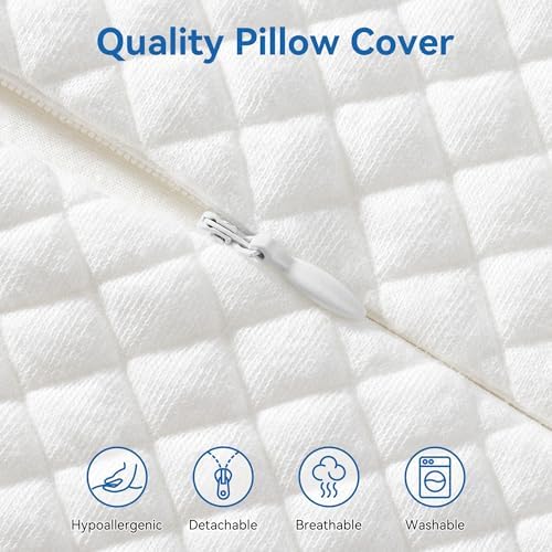 AM AEROMAX Queen Size Contour Memory Foam Pillow