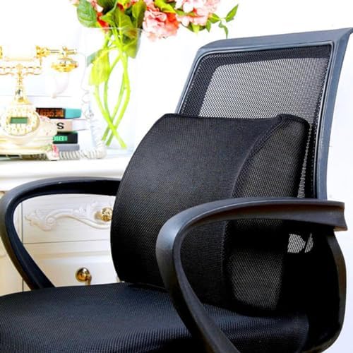 Homoyoyo Lumbar Support Pillow for Car and Office