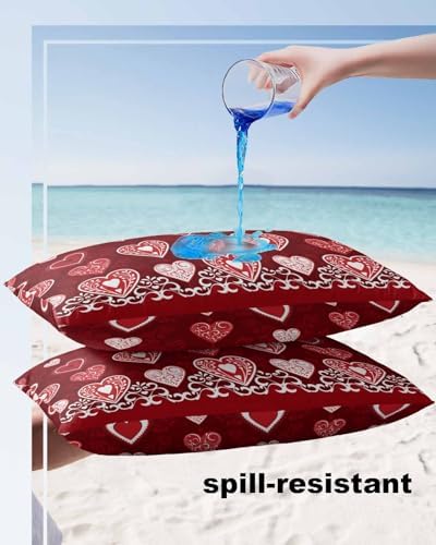 Waterproof Pillow Protector 2 Pack with Heart Design