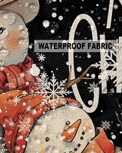 Waterproof Pillow Protector 2 Pack with Zipper Snowman Designs