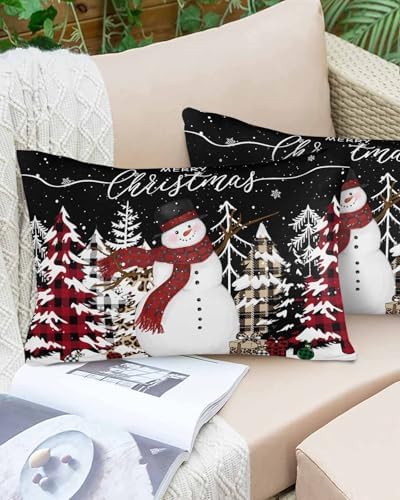 Waterproof Pillow Protector 2 Pack with Zipper 1