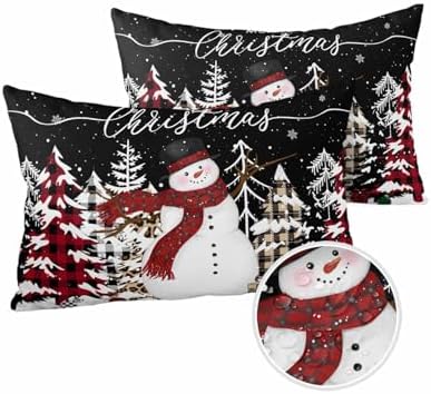 Waterproof Pillow Protector 2 Pack with Zipper 1