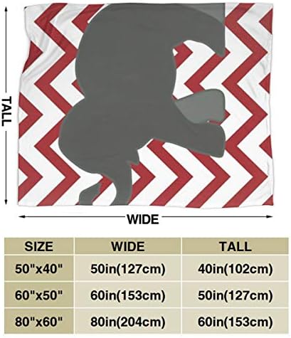 Modern Flannel Fleece Throw Blanket - 80x60 Inch