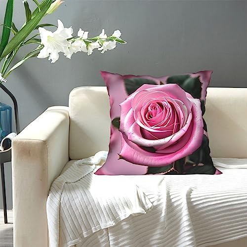 Ogniwo Pink Rose Throw Pillow 12x12 Inch Soft Square Cushion Cover