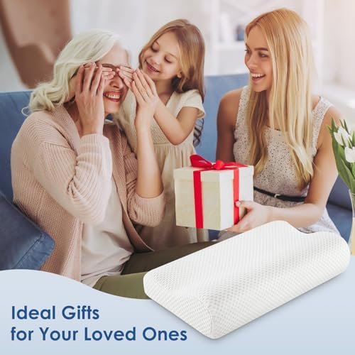 Silkena Contour Memory Foam Pillow with Cooling Cover