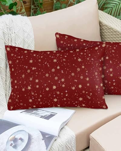 Waterproof Pillow Protectors 2 Pack with Zipper Design