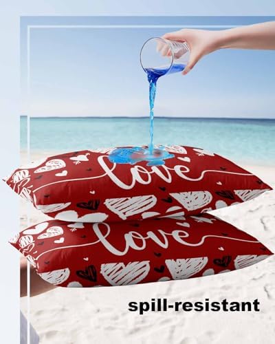 Waterproof Pillow Protector 2 Pack with Zipper Love Hearts Design