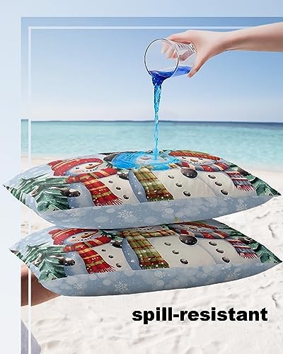 Waterproof Pillow Protector 2 Pack Snowman Snowflake Christmas