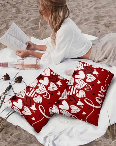 Waterproof Pillow Protector 2 Pack with Zipper Love Hearts Design